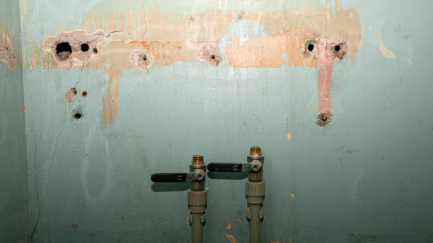 Best Wood Floor Water Damage Restoration in Clarence, IA