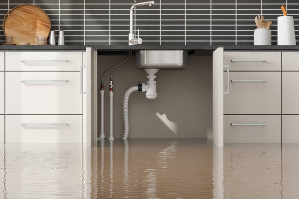 Trusted Water Damage Restoration in Clarence, IA | Fast, Reliable, and Ready to Assist You